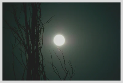 Luna leggera