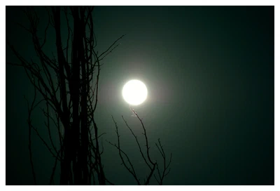Luna leggera