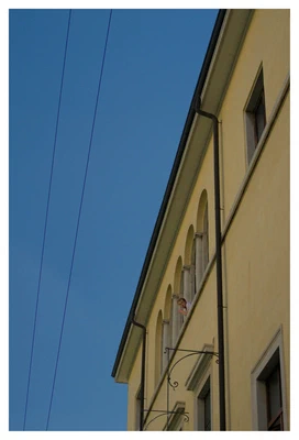 Mi osserva